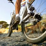 Visita y disfruta  Lanzarote en bici