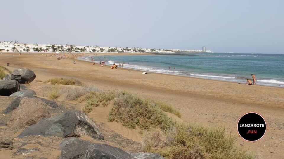 Playa Guacimeta